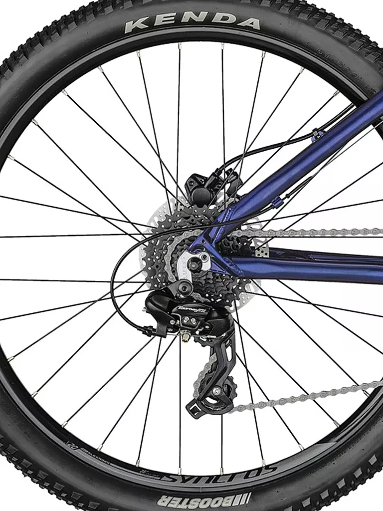 Scott contessa online 26 disc 2021